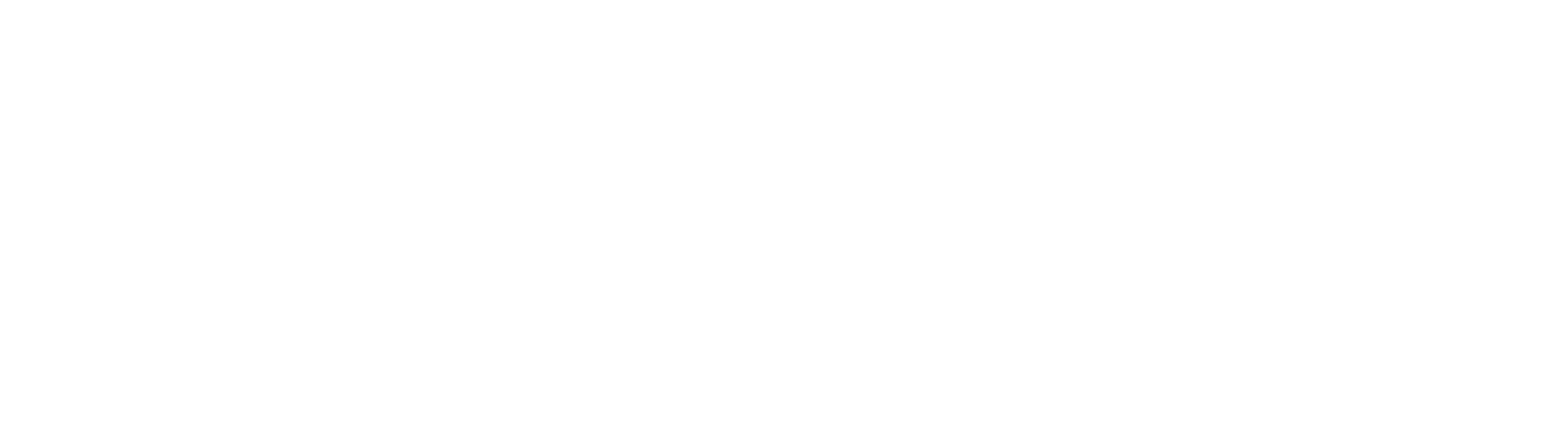 Anivo 360 logo
