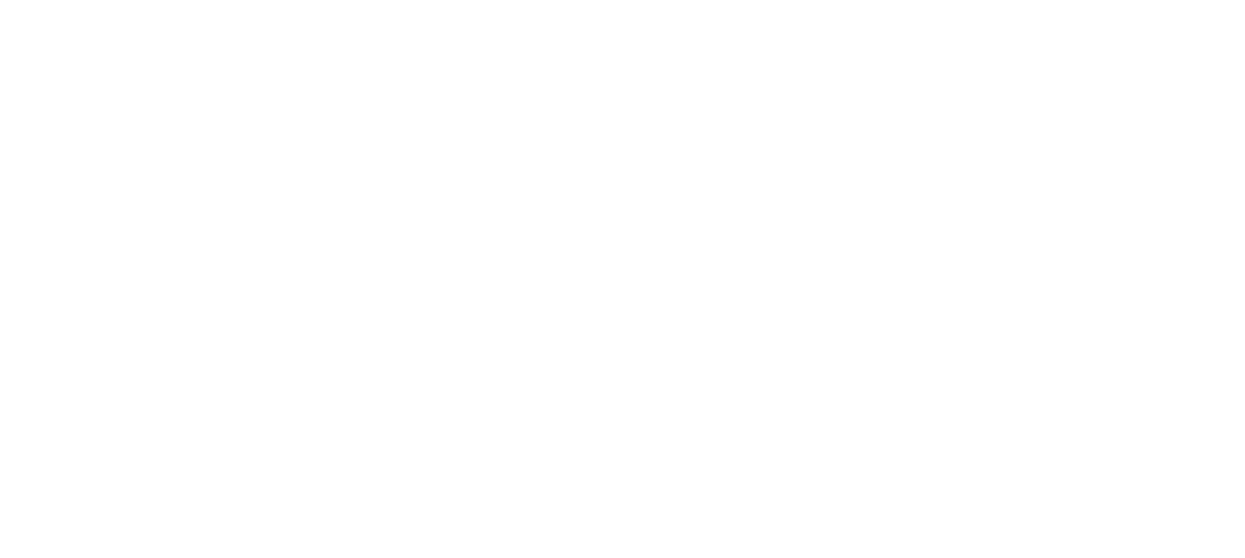 ANS logo