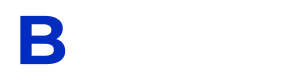 BlueCyber logo