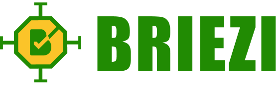 Briezi logo