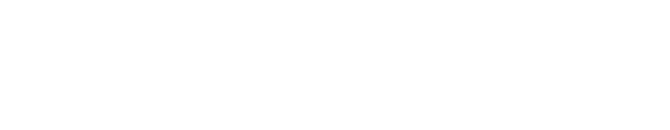 BSynchro logo