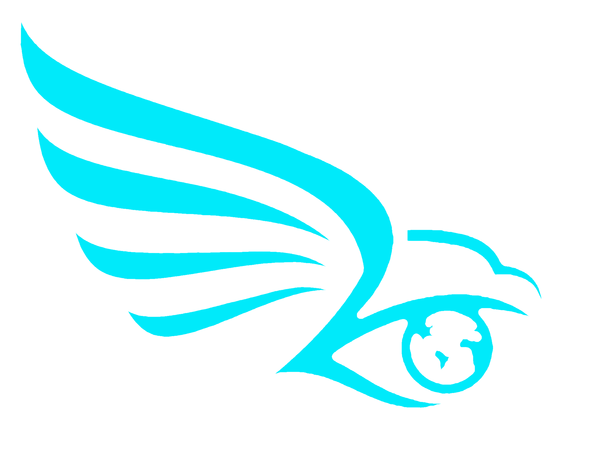 Caelus.Space logo