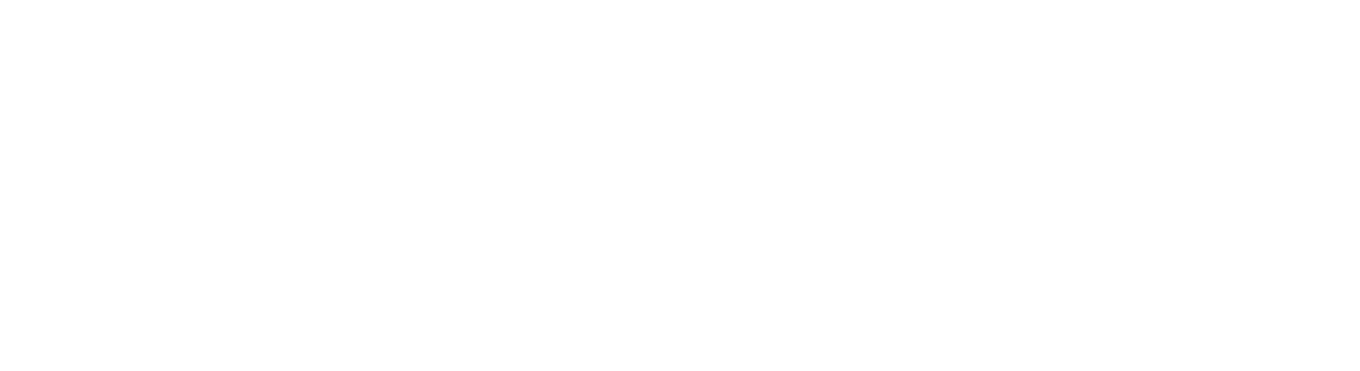 Cleva logo