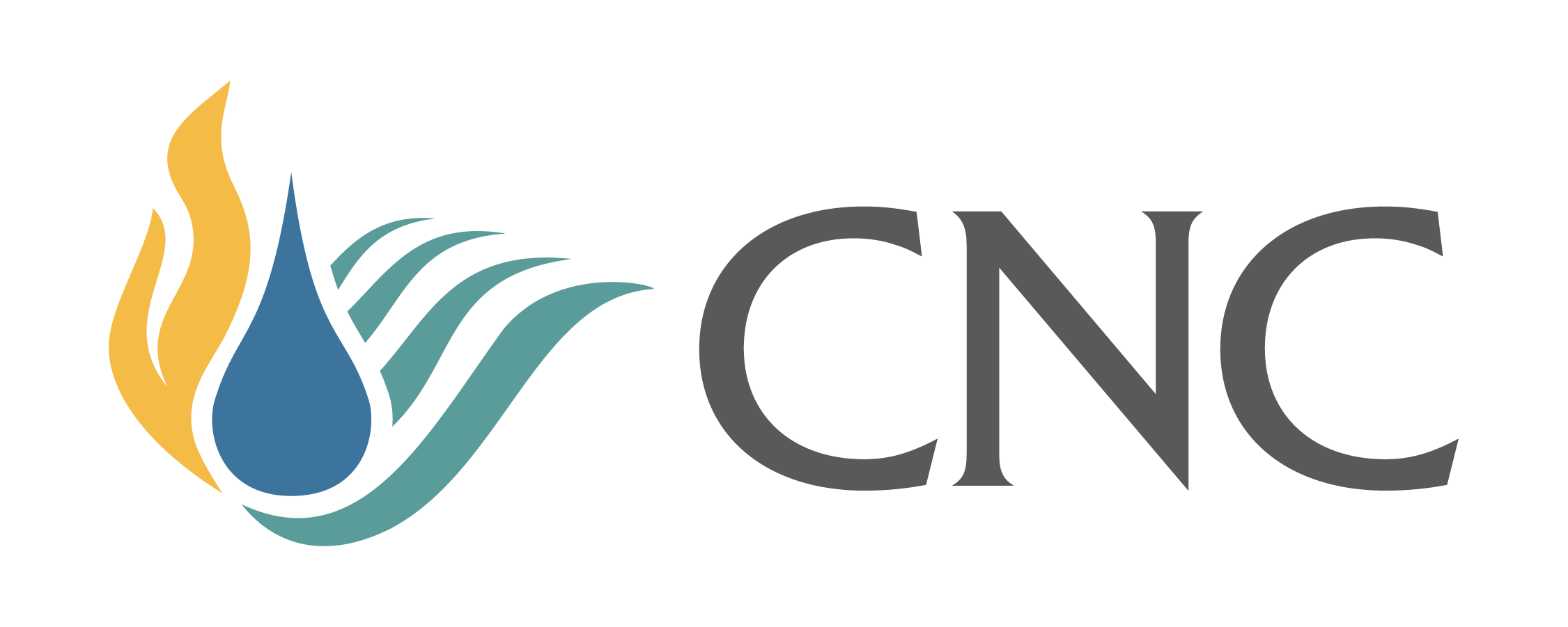 CNC CATASTROPHE & NATIONAL CLAIMS logo