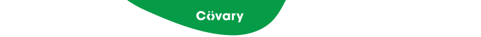Covary logo