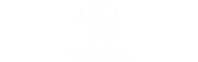 DealerSeg logo