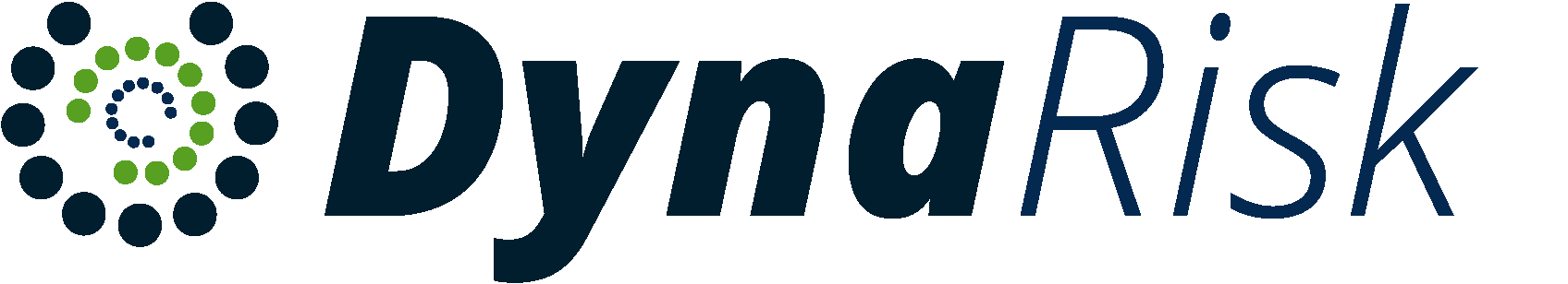DynaRisk logo