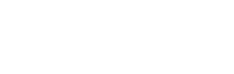 Efinity Asia logo