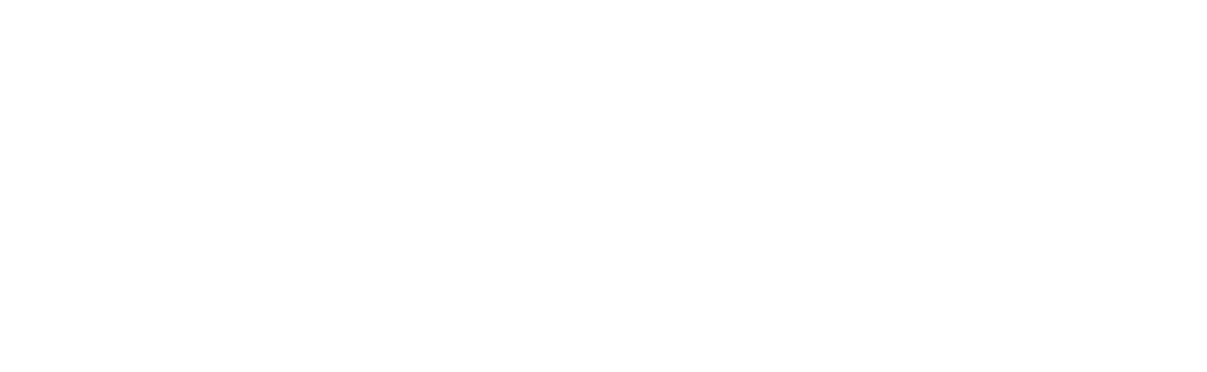 FLUXE Software logo