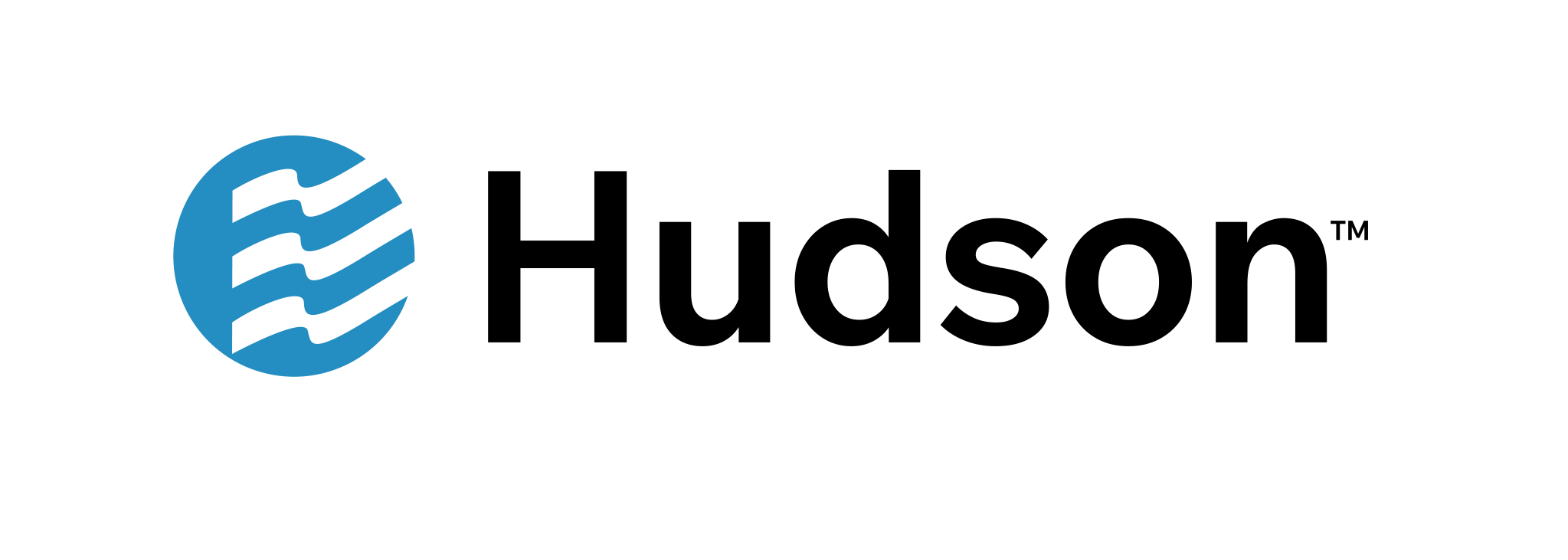 HUDSON INSURANCE GROUP logo