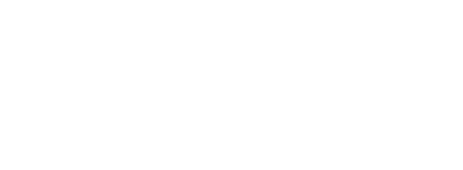 Huscarl logo