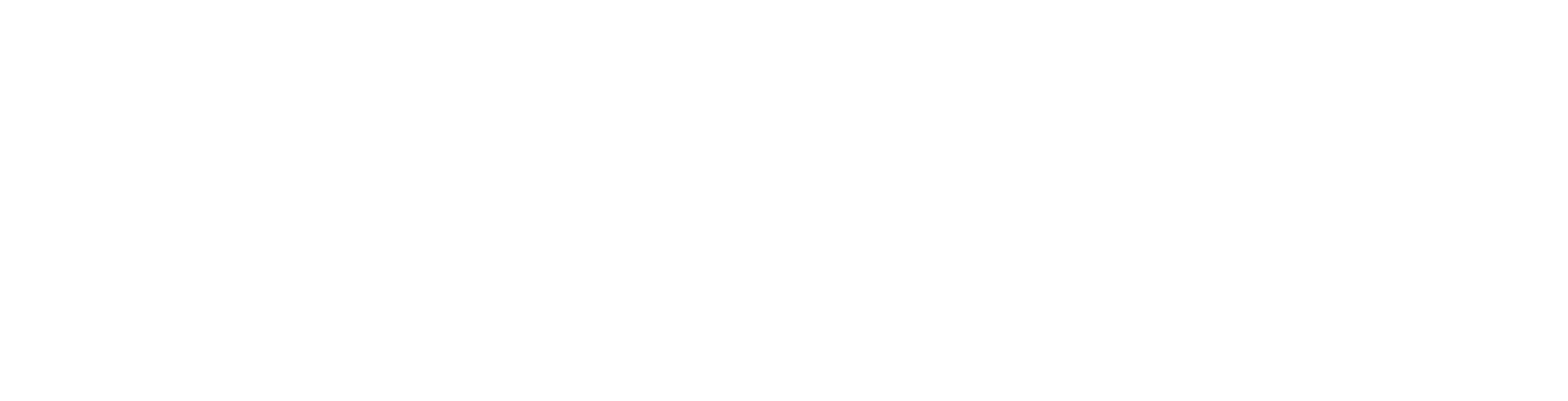 IBISA logo
