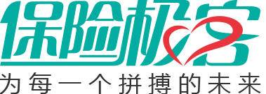 Insgeek logo