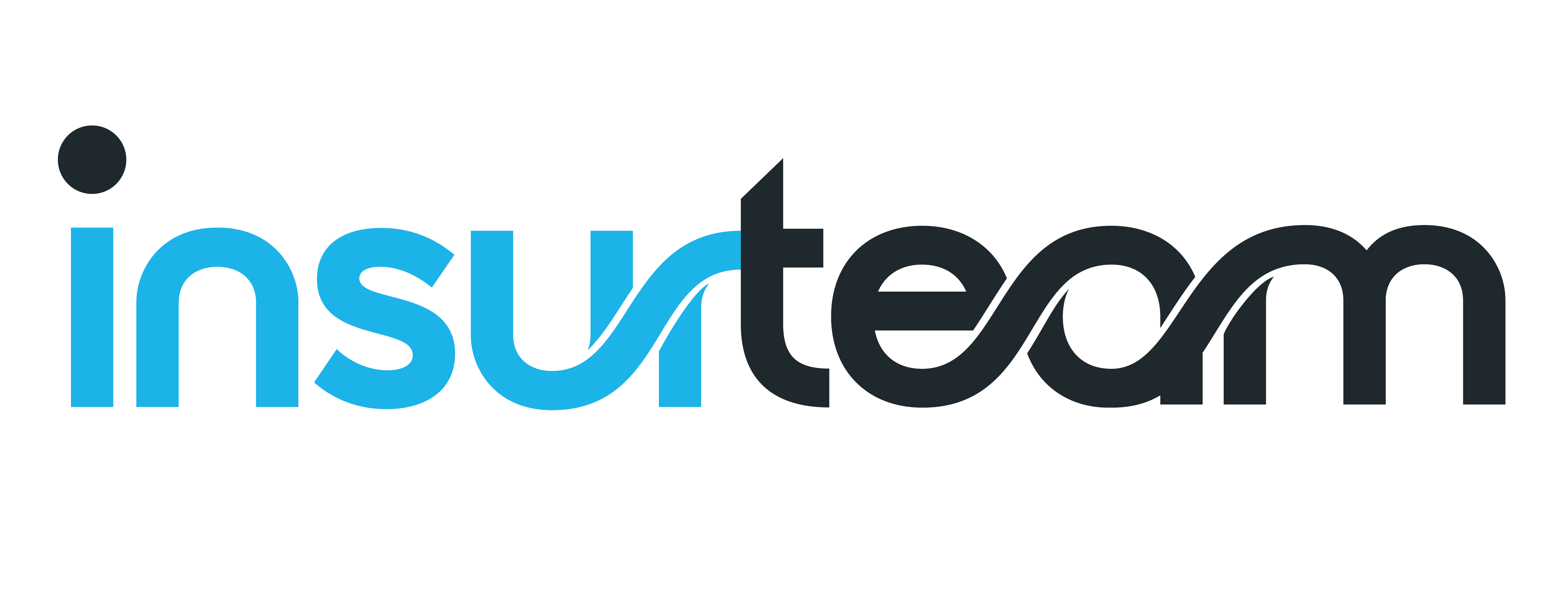 Insurteam logo