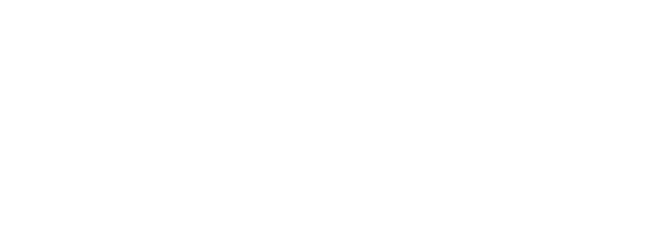 McKenzie Intelligence Services logo