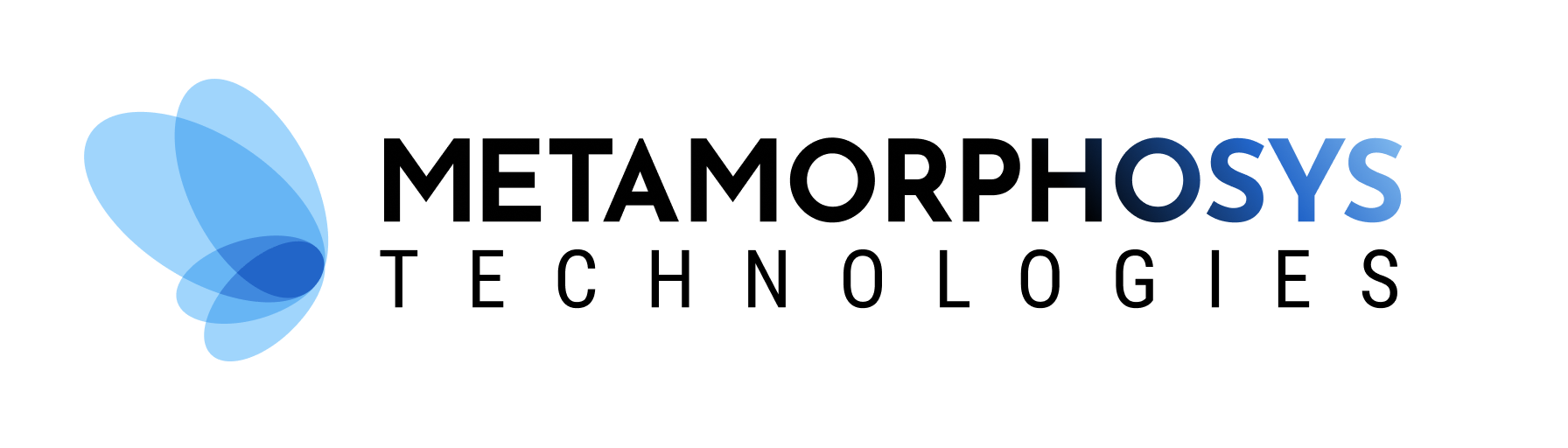 MetaMorphoSys Technologies logo