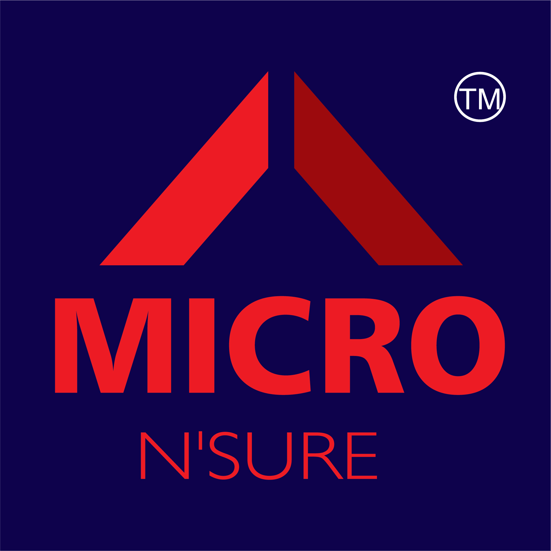MicroNsure logo
