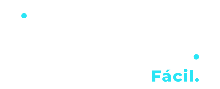 Nico Seguros logo