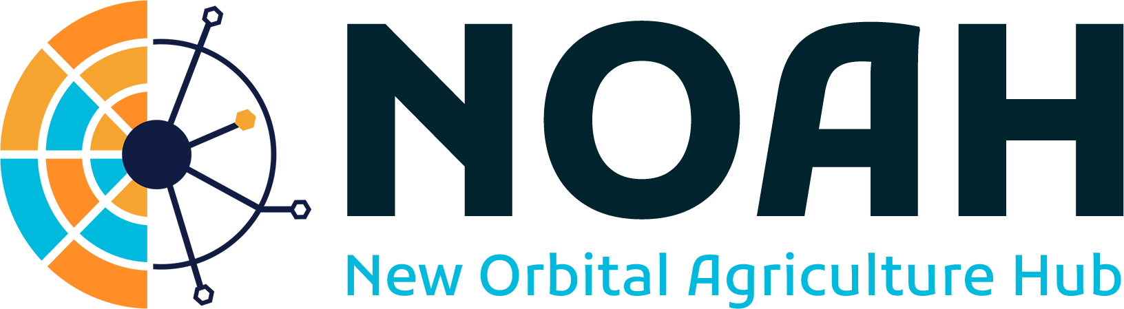 N.O.A.H. logo