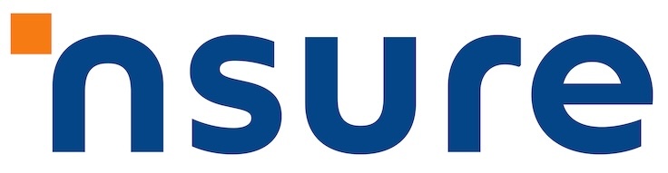 nsure Systems logo
