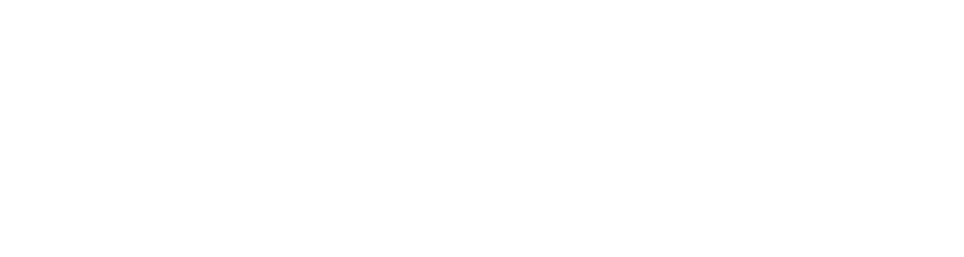 Paydrive logo