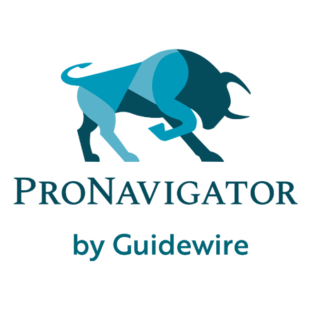 ProNavigator logo