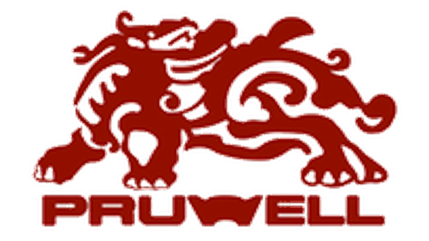 PruWell International logo