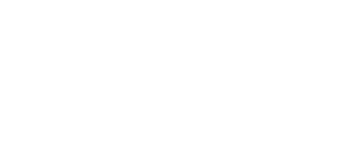 Rook logo