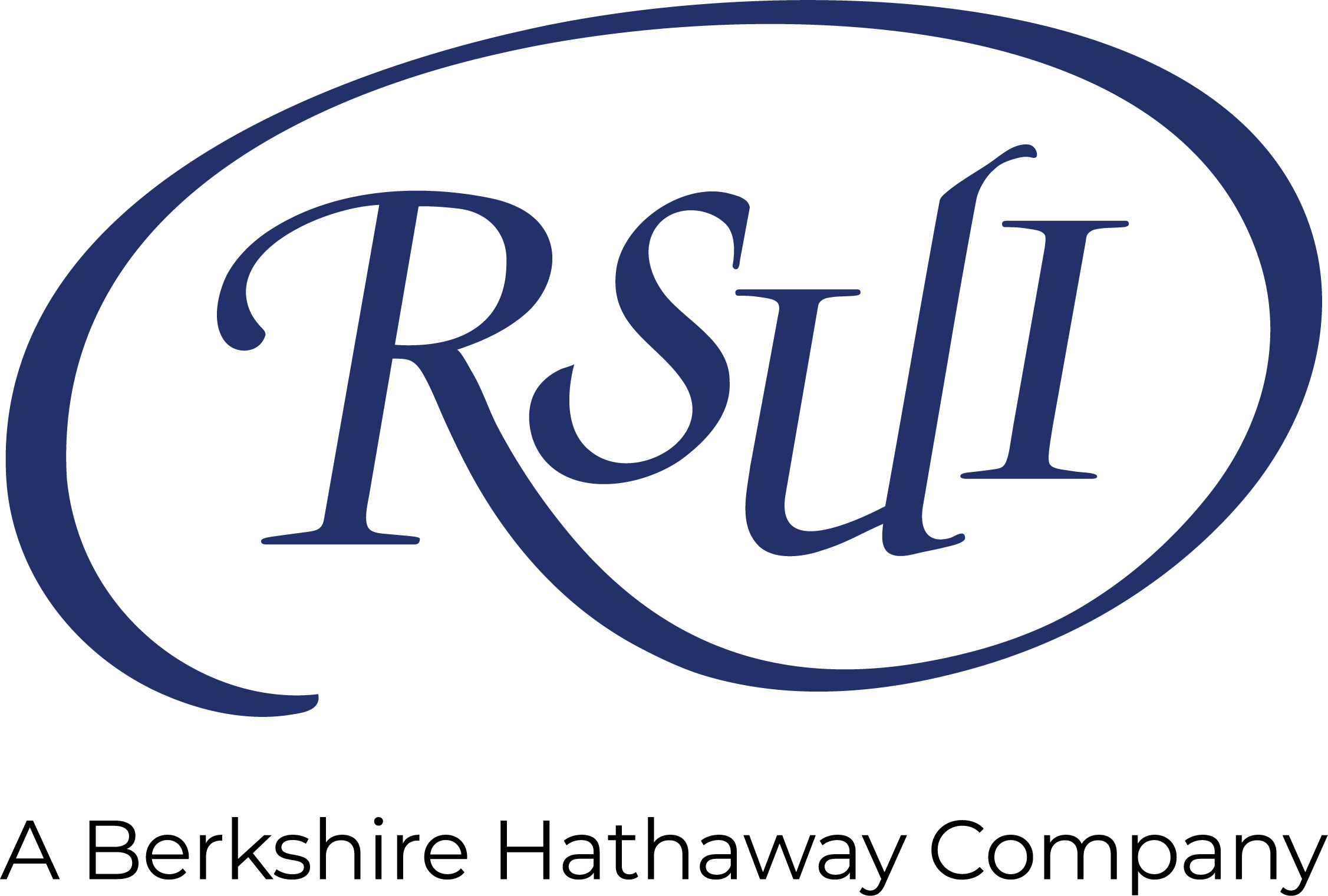 RSUI Group, Inc. logo