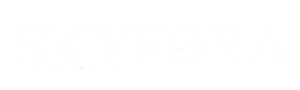 Skyfora logo