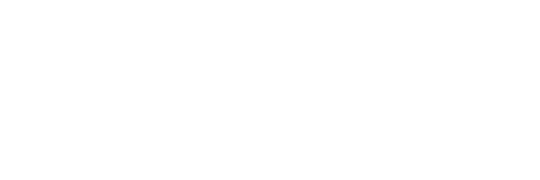 SolePro logo