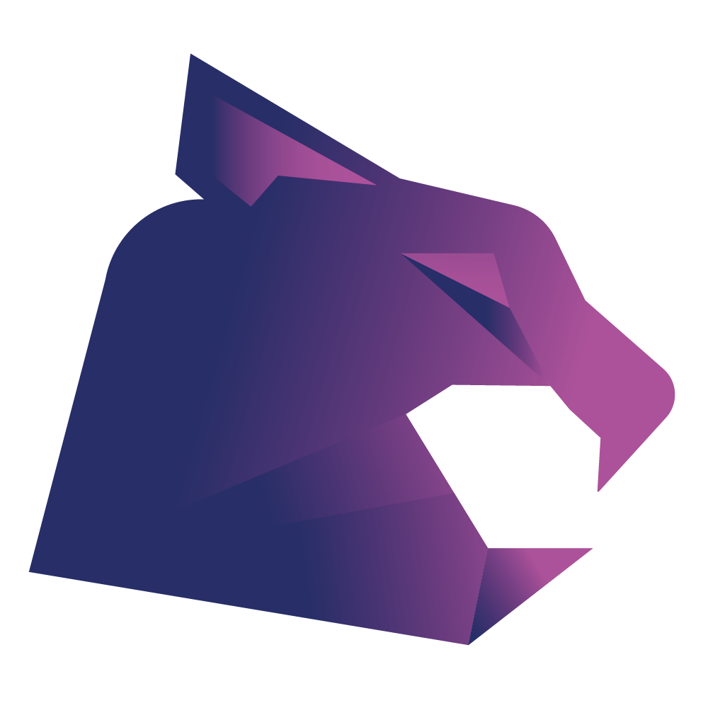 Spaidy logo