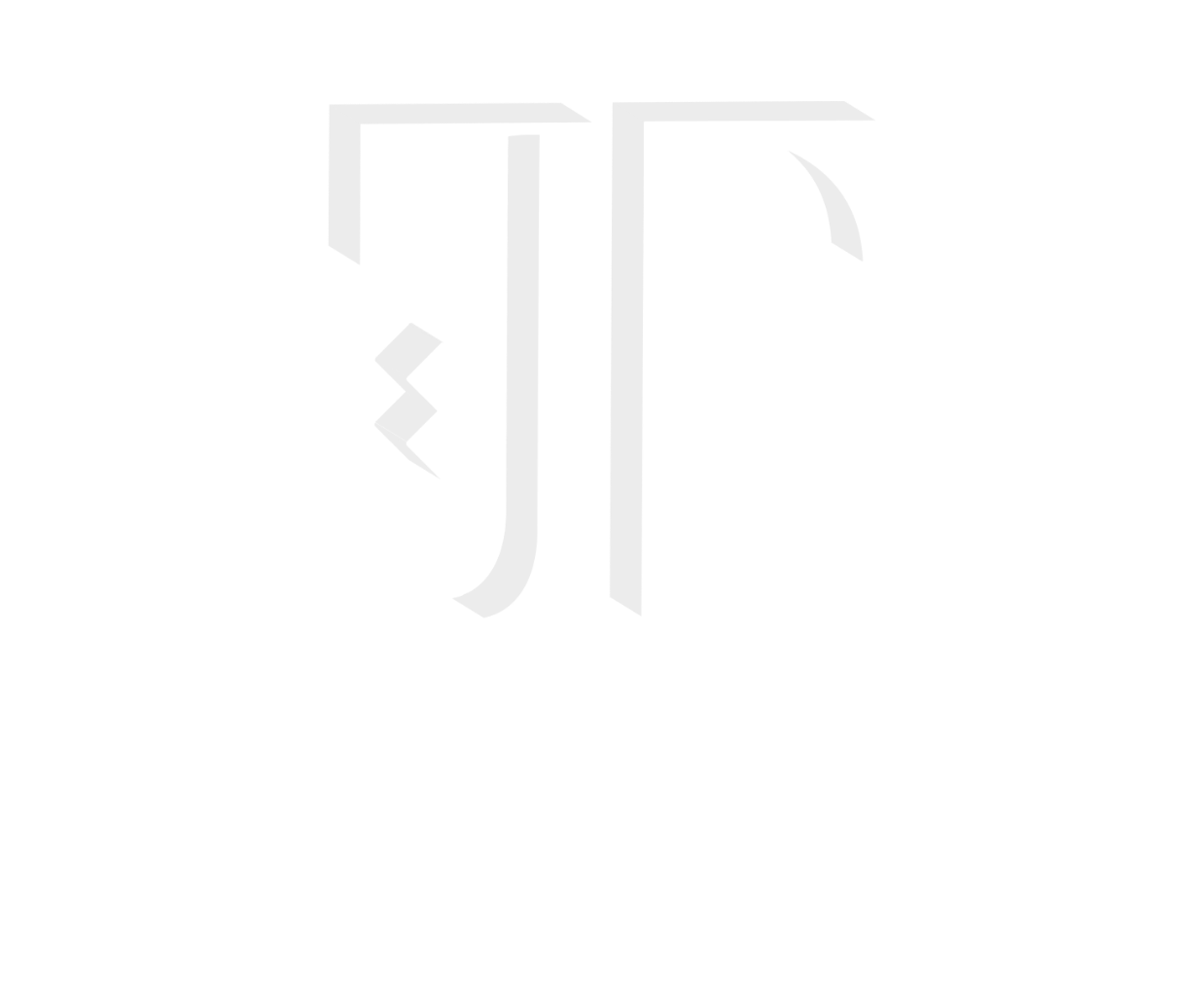 Tameen logo