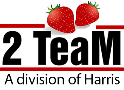 TwoTeam logo