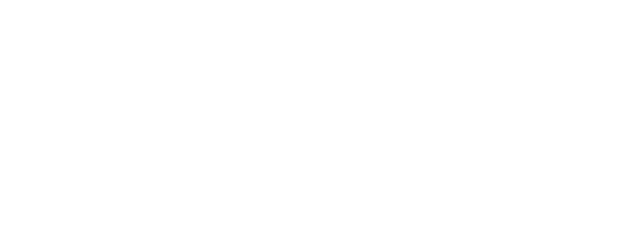 Ultimate Risk Solutions logo