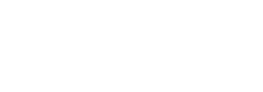 Veriday logo