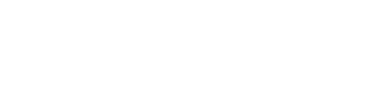 WeSure logo