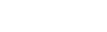 Wisefin logo